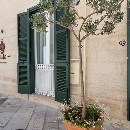 Amate Lecce